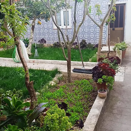 Ginjals_67 * Алмаргем